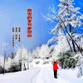 王温迪 - 飘雪的季节更想你