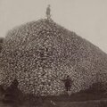 IL MONDO È NOSTRO (Explicit)