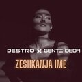 Destro - Zeshkanja Ime (Radio Edit)