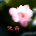 咏咏 - 六字大明咒唱诵