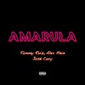 Tommy Ruiz、Alex Plein、Jose Cury - Amarula