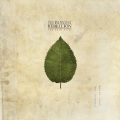 The Boxer Rebellion - Caught By The Light