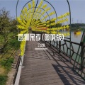 丁艺新 - 白狮呆孝