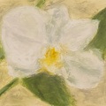 PL、Robiq - ORCHID (with Robiq)
