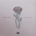 Rooted Nemo - Rounds
