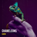 Chameleons