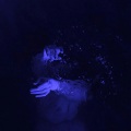 Rash、Lythx、rufflws - Black Out Days (Slowed & Reverb)