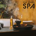 Five Senses Meditation Sanctuary - Asian Piano Relaxation