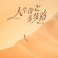 魏佳艺 - 人生南北多歧路