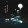 远皓ZIL - 相思续续入梦来