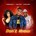 Boichase、Wise Kenny、Solara - Don't Know