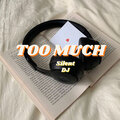 Silent DJ - Too Much (Explicit)