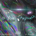 Is You Stupid? (Explicit)