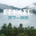 罗布桑珠 - 我在措木及日留下一滴泪