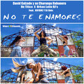 David Galzado y su Charanga Habanera、Un Titico、Urban Latin DJ's、KN1one、DJ Unic - No Te Enamores (Radio Edit)