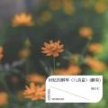沫小七 - 回忆的钢琴