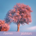 Ralimsa - After Death