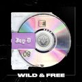 Jay-D - Wild & Free (ExtendedMix)