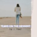 Vinz - Tears on the Desert