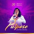 Bridget Ndanga、Minister Michael Mahendere - Murapi (feat. Minister Michael Mahendere)