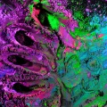 The Second Sense - Motherboard