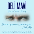 Deli Mavi (Söz ve Seda Akay)