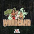 PASTILLE、Bølla、PULS - Kaster Lasso (Woodland 2024) (Explicit)