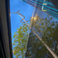 鵆莜礼 - 迷途羔羊