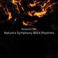 Fire Fruits Sounds、The Rainforest Collective、Office Music Experts - Jungle Beats Work Harmony