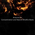 Fireplace FX Studio、Concentration Time、Contemporary Christian Music - Binaural Fire Waterfall Meditation
