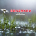 你是风是雨也是谜