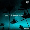 Dkuul - Won't Forget You (Extended Mix)