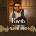 Pedram Paliz、DJ AL - Taghvime Shamsi