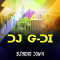 Burning Down