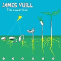 james yuill - This Sweet Love (Rod Thomas Remix)