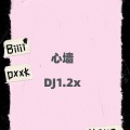 心墙 (DJ1.2x)