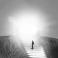 Christopher Rosa - COME TO LIGHT