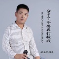 分手了不要再打扰我 (男版)