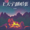 王天宇 - 平安是福