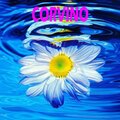 Corvino - Semakin