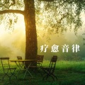 疗愈 静心 修心 治愈抑郁 减压放松轻音乐