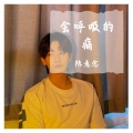 陈意念 - 会呼吸的痛温 (柔女生版)