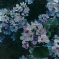 “阿兰姐”、邓森 - Play roll