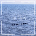 姬轲 - I Will Miss You