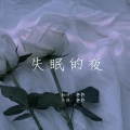 静静 - 失眠的夜 (伤感女版)