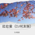 DJ何友 - 拉拉爱 (Remix)