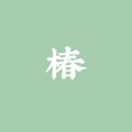 椿