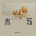 春日野ドーム - 春野