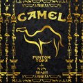 CAMEL (feat. Topa) [Explicit]