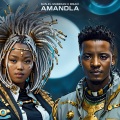 Amandla